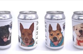 Wanita Ini Ketemu Anjingnya yang Hilang Usai Gambarnya Tampil di Kaleng Bir