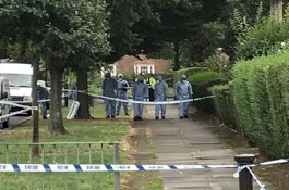 Tukang Kebun Perkosa Janda 89 Tahun Lalu Memukul Kepalanya Hingga Tewas