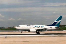 Buat Pesawat Putar Balik, Pemuda Ini Mengaku Kena Virus Corona untuk Bikin Video Viral