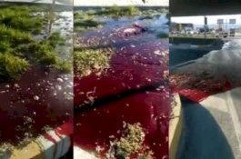 Bumi Mengeluarkan 'Darah' Sesaat Setelah Gempa Dahsyat di Turki