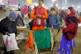 Urine dan Kotoran Sapi Laris Manis di India, Manfaatnya Tak Terduga