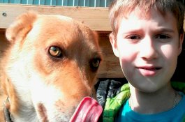 Derita Tumor Otak Stadium Akhir, Ayah Bunuh Putra Kesayangannya