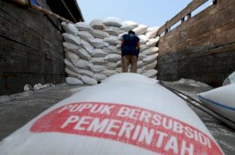 Petani Mengeluh Pupuk Bersubsidi Langka, Kementerian Pertanian Ungkap Fakta Sebenarnya