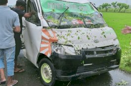 Pohon Tumbang Timpa Mobil Pikap yang Sedang Melaju di Jeneponto, Sopirnya Luka di Kepala