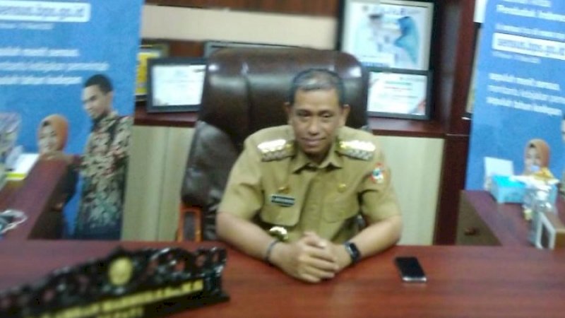 Bupati Wajo, Amran Mahmud