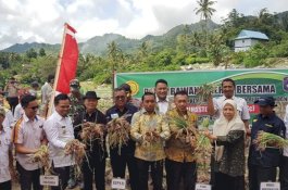 Muslimin Bando dan Pejabat Kementan RI Panen Bawang Merah di Desa Pakalobean