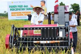 Panen dan Tanam Padi di Pasuruan, Mentan Syahrul Jamin Ketersediaan Pupuk