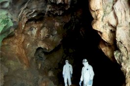 Gua Kelelawar China Bisa Jadi Kunci Penyembuhan Corona, Warga di Dekatnya Justru Kebal