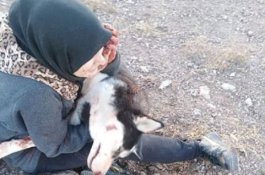 Perempuan Afghanistan Diserang Kelompok Bersenjata Gegara Peliraha Anjing