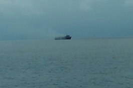 Perjuangan 4 Orang yang Hanyut di Samudra Pasifik, Sebulan Bertahan Hanya Makan Kelapa