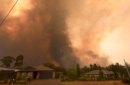 Januari 2020 Jadi Bulan Terpanas Bumi