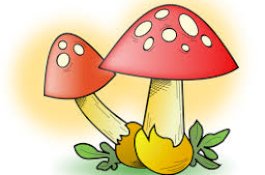 Di Rawat di RS yang Lembab, Bayi Kecil Ini Tewas Usai Terinfeksi Jamur