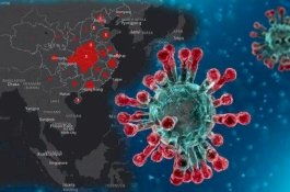 Virus Corona Jangkit Benua Afrika, Pertama Kali Ditemukan di Mesir