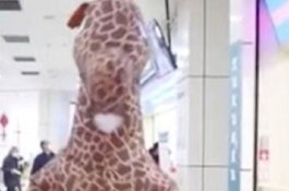 Virus Corona di China, Perempuan Pakai Kostum Jerapah karena Kehabisan Masker