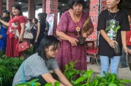 Staf Laboratorium Kesehatan Menikah, Suvenirnya Bibit Jengkol