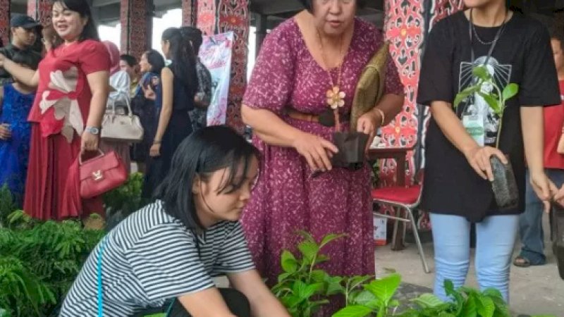Suvenir pengantin berupa bibit pohon di Pontianak. (FOTO: ANTARA)