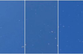 Wabah Belalang Kini Capai Perbatasan China