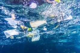 Malaysia Negara yang Paling Mencemari Laut di Asia