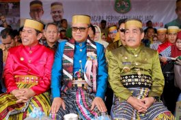 Nurdin Abdullah: Sidrap Penting Bagi Pangan Dunia