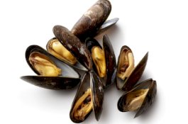 Ratusan Ribu Kerang Mati Kepanasan di Pantai Selandia Baru