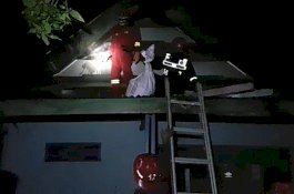 Siram Bensin lalu Masukkan ke Karung, Sarang Tawon Menempel di Rumah Warga