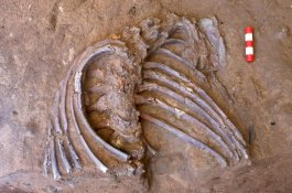 Temuan Kerangka 70.000 Tahun Buka Perdebatan Lama Soal Ritual Kematian