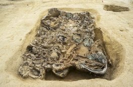 Makam Pangeran Zaman Besi Ditemukan di Italia, tapi Tubuhnya Hilang