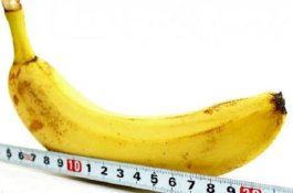 Masturbasi Bikin Ukuran Mr P Mengecil?