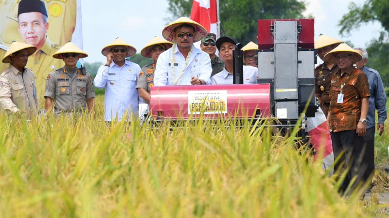 Januari 2020, Daya Beli Petani Meningkat