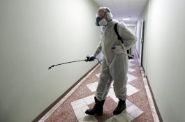 Ratusan Hewan Mati Secara Misterius di China