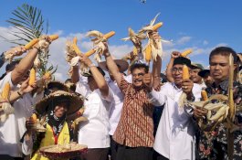 Panen Jagung di Bireuen, Mentan Syahrul Ajak Optimalkan Lahan dan Lawan Narkoba