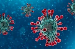 Siapa Orang Pertama Picu Wabah Virus Corona, Mengapa Orang Ini Mesti Ditemukan?