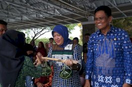 Meriahnya Karnaval Budaya di Barru, Diikuti Peserta dari Luar Provinsi