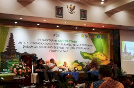 Kementan Perkuat Ekspor Produk Pertanian dengan Kostratani