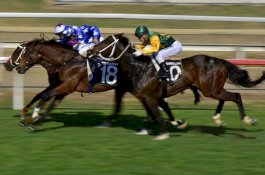 Arab Saudi Akan Menjadi Tuan Rumah Pacuan Kuda Terkaya di Dunia