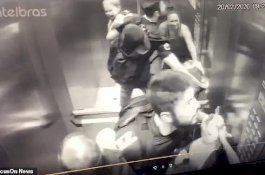 CCTV Rekam Detik-detik Bocah Diserang Anjing dalam Lift