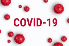 Pegawai Negeri Korea Selatan yang Tangani Virus Corona Bunuh Diri