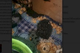 Ayahnya Tewas, Kini Warung Bos Coto di Gowa Diduga Dibakar