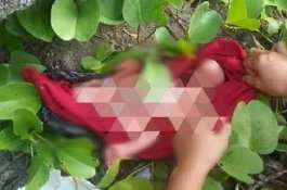 Murid SD Dengar Suara Tangisan Merintih di Taman, Bayi dalam Kantong Kresek Bikin Geger
