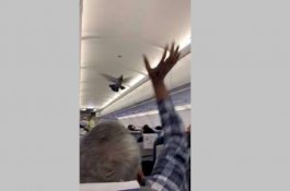 Burung Masuk ke Dalam Pesawat, Pendaratan Tertunda 30 Menit