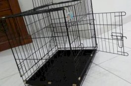 Ayah Masukkan Anak di Kandang Anjing, Setelah Meninggal Disembunyikan dalam Beton