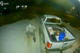 Pemilik Rumah Aktifkan Splinker, Pencuri Kaget dan Langsung Kabur