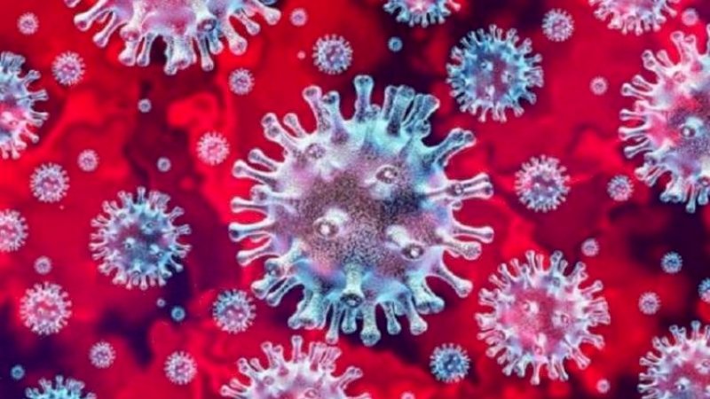 2 WNI Positif! Jangan Panik, Berikut Cara Melindungi Diri dari Virus Corona