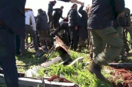 Turki Tembak Jatuh 2 Pesawat Tempur Suriah