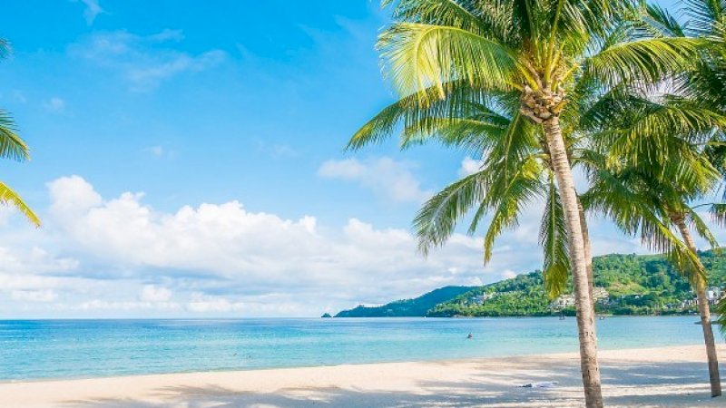 Setengah dari Jumlah Pantai di Dunia Bisa Hilang di Tahun 2100