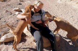 Abdikan Hidupnya untuk Hewan Terlantar, Wanita ini Tewas Diserang Kawanan Anjing Liar