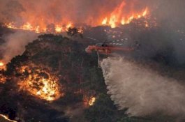 Setelah 240 Hari, Kebakaran Hutan Australia Akhirnya Berhasil Ditaklukkan