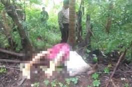 Nenek 80 Tahun di Barru Tewas Diduga Kesetrum Jebakan Babi Milik Tetangga