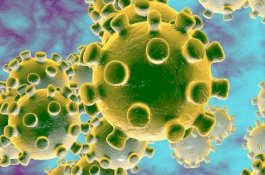 Dinkes Parepare Buka Layanan Konsultasi Virus Corona 24 Jam