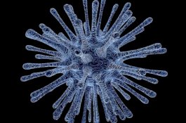 Iklan Video yang Bahas Virus Corona Hilang di YouTube